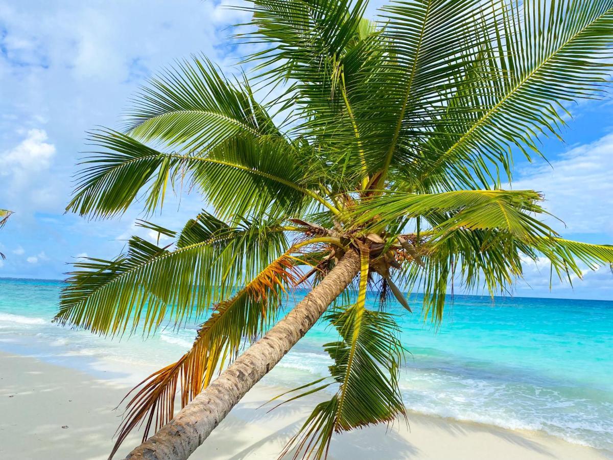 Hotel Tme Retreats Dhigurah Dhigurah  Exteriér fotografie